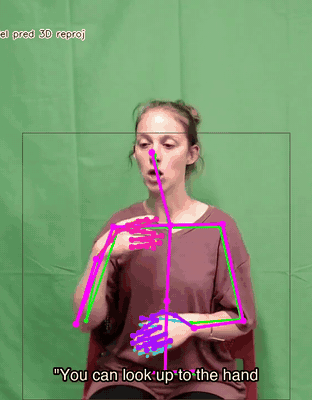 Body and hand framework, sign language