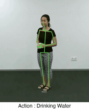 Body and hand framework, action recognition